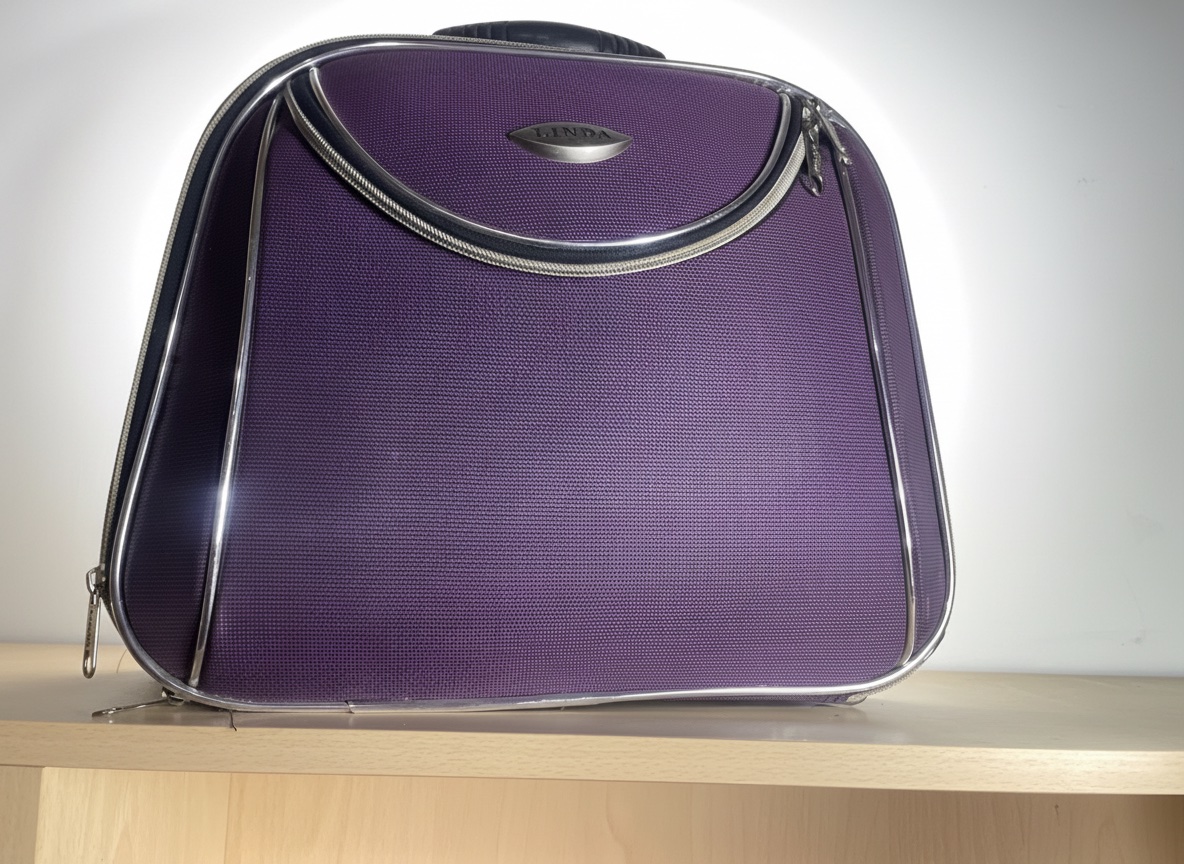 👜 Petite valise femme violette 💜