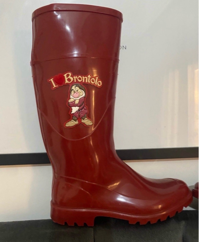 BOTTE DE PLUIE I BRONTLO NEUF