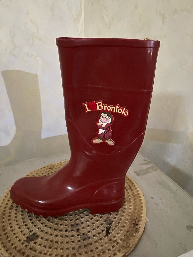 BOTTES DE PLUIE BRONTOLO NEUF