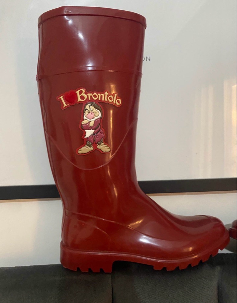 BOTTES DE PLUIE IBRONTOLO NEUF
