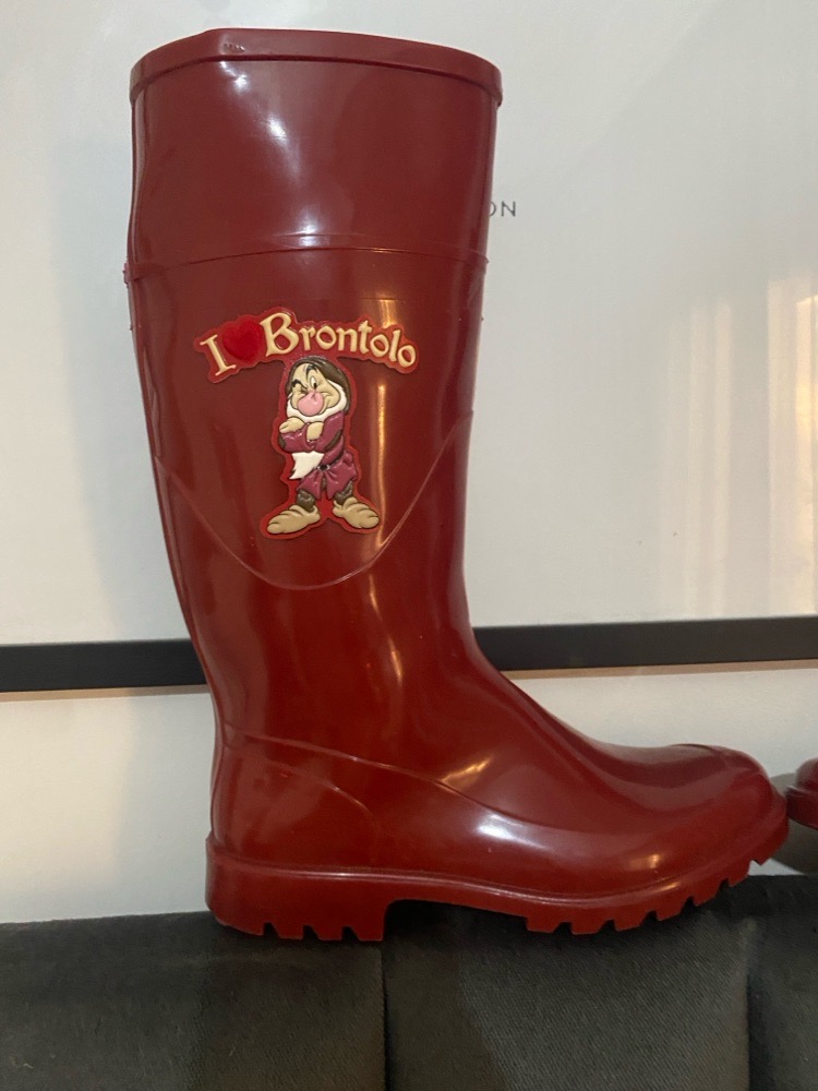BOTTES DE PLUIE BRONTOLO NEUF