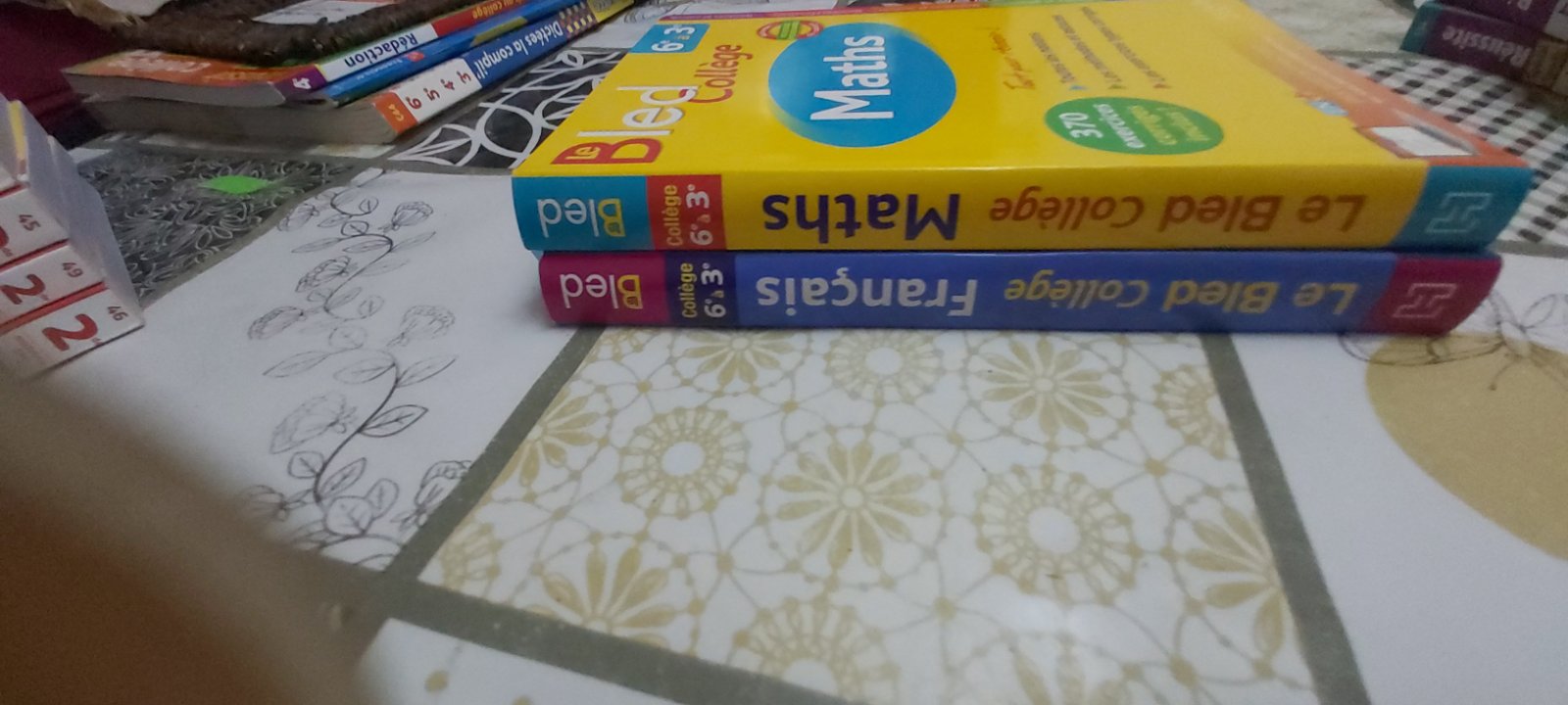 Lot de livres scolaires