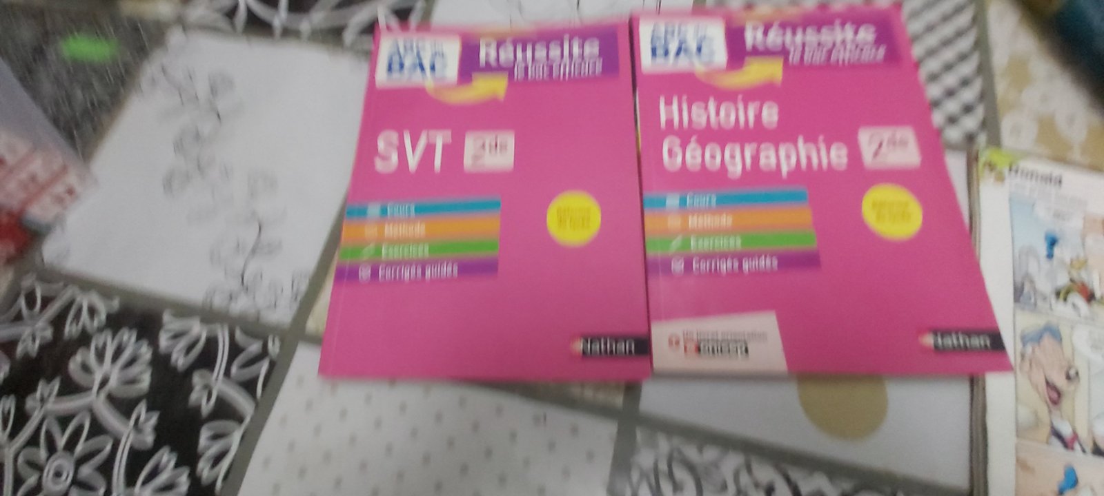 Lot Livres scolaires