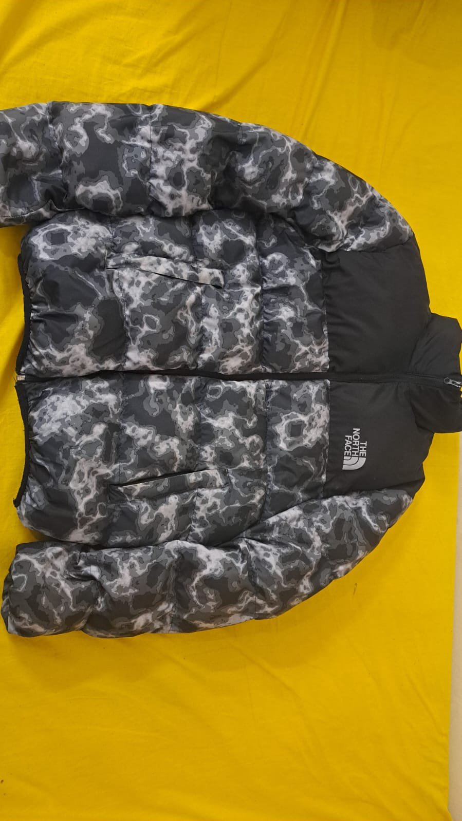 Veste The north face