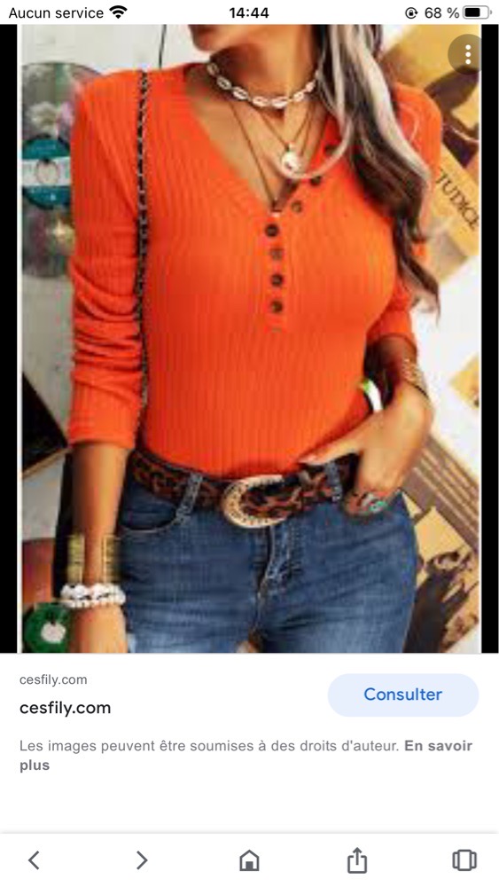 très magnifique pull 🍊 de la marque janina 