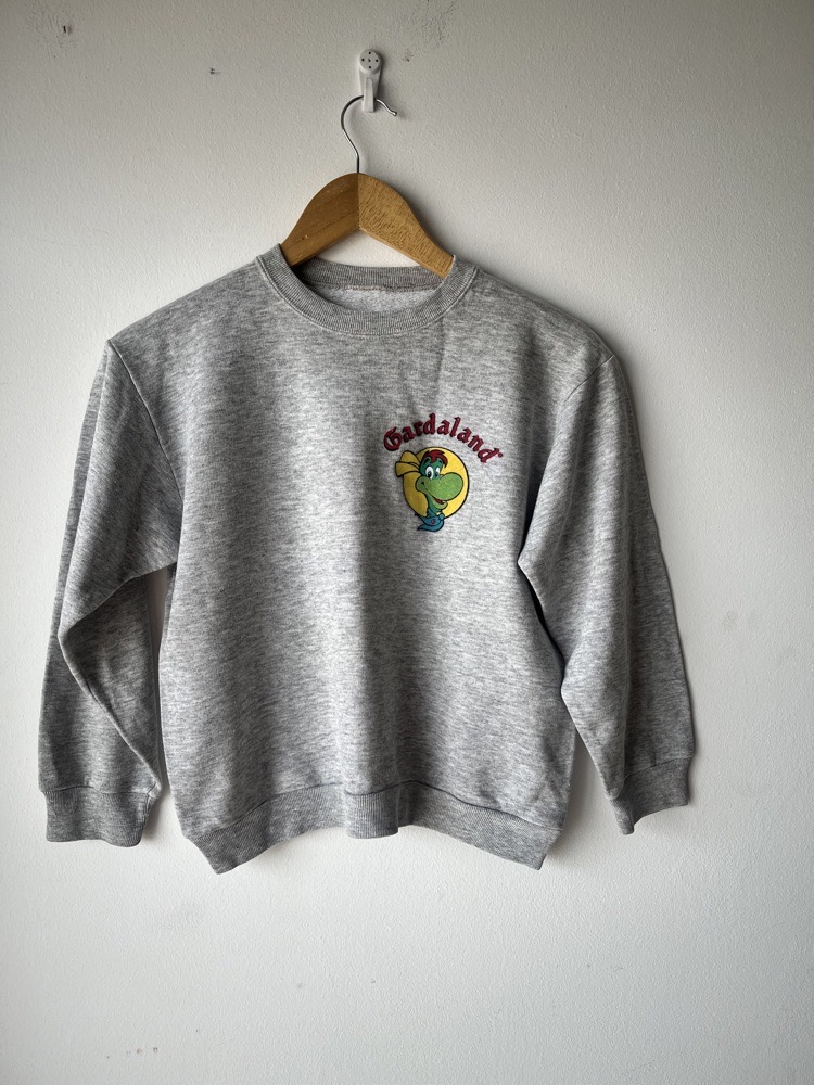 sweat-shirt gris 