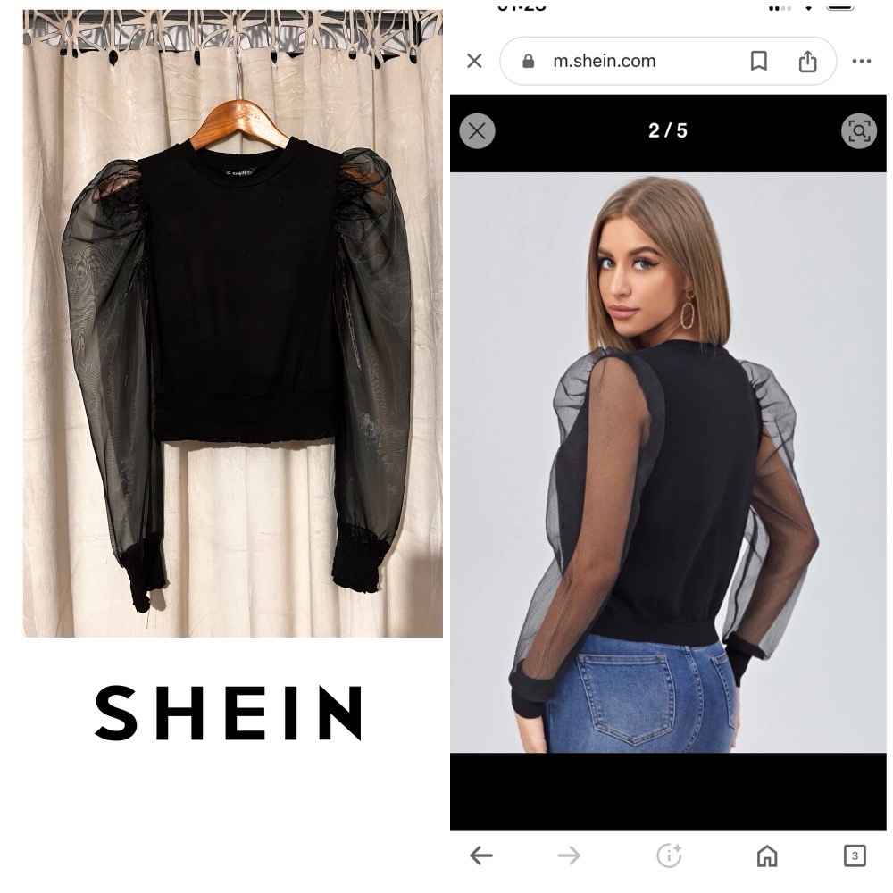 SHEIN pull à des manches bouffantes transparente 