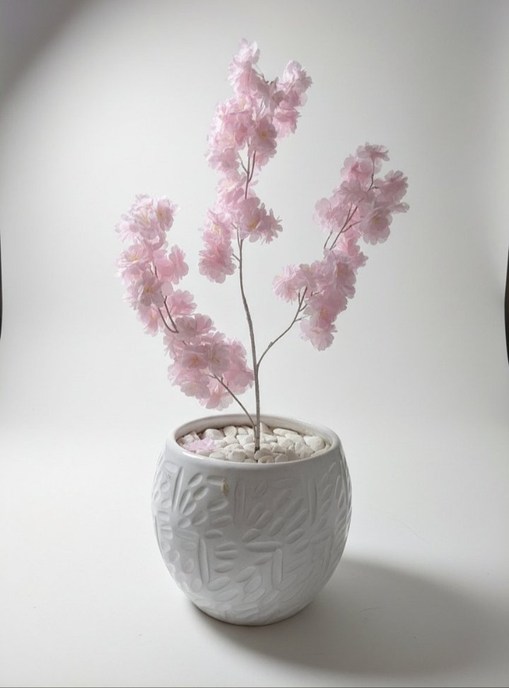 Vases🌸