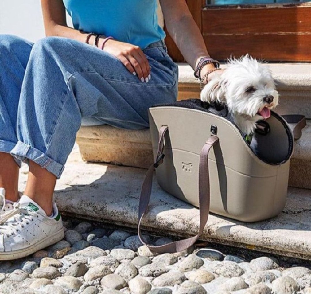 Sac silicone pour chien et chat 