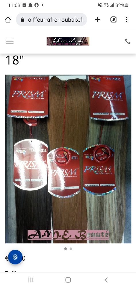 extensions á clips 