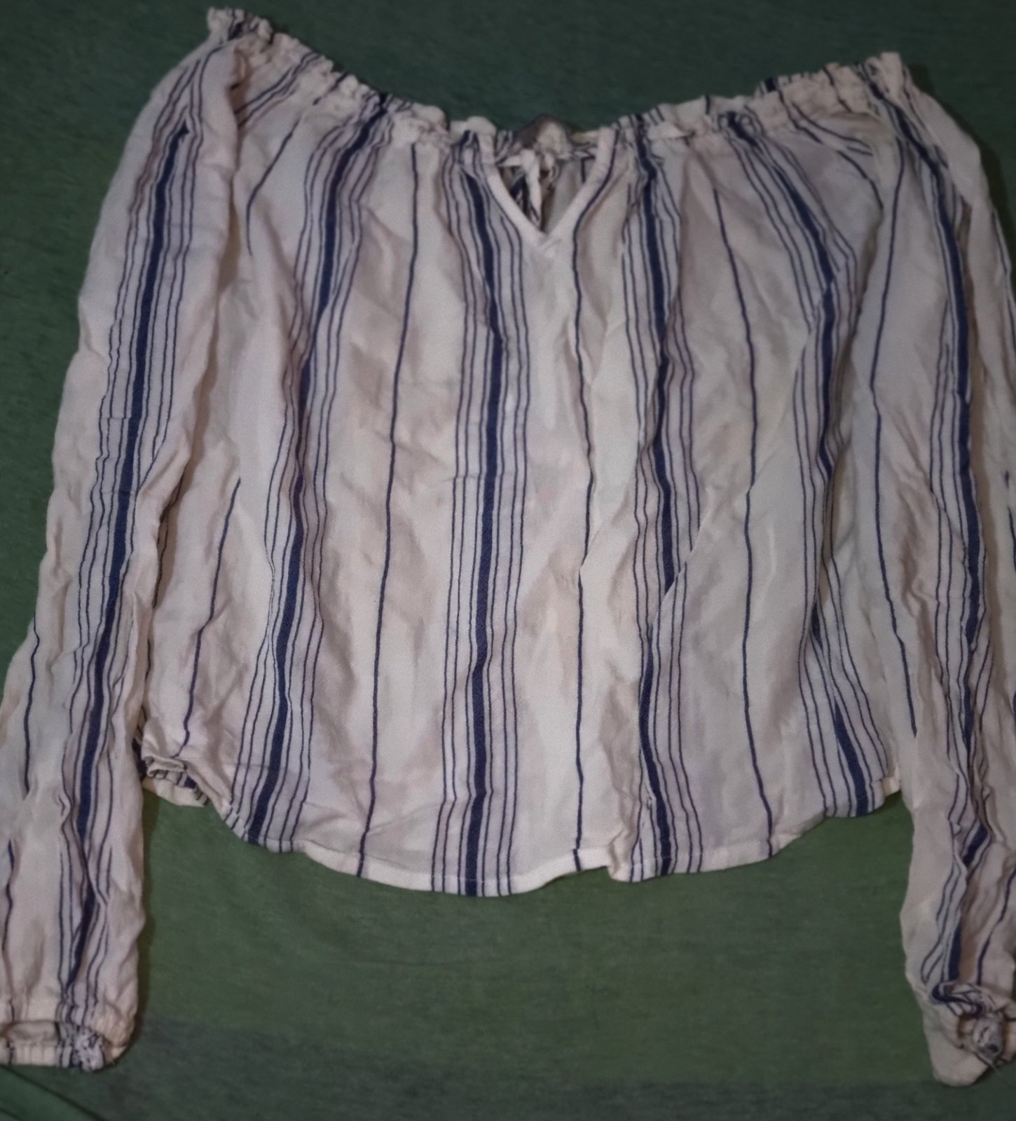 Des pules chemise