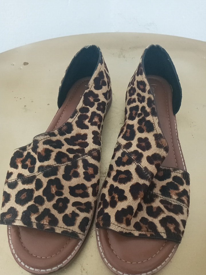 Mocassin 