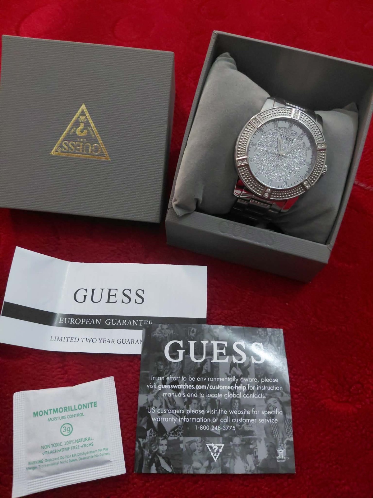 Montre geuss argant 