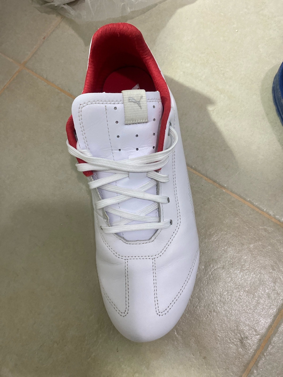Puma sport