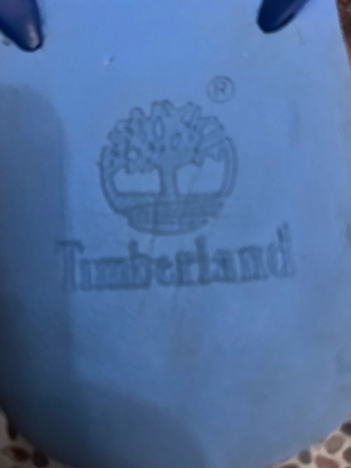 Mule Timberland bleu 