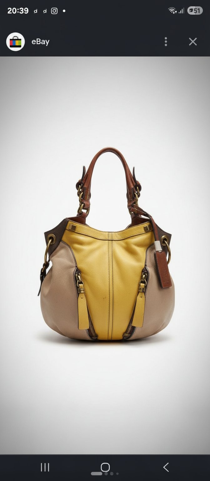 Le sac présenté sur l'image est le modèle Victoria Colorblock Large Hobo de la marque de créateur orYANY.