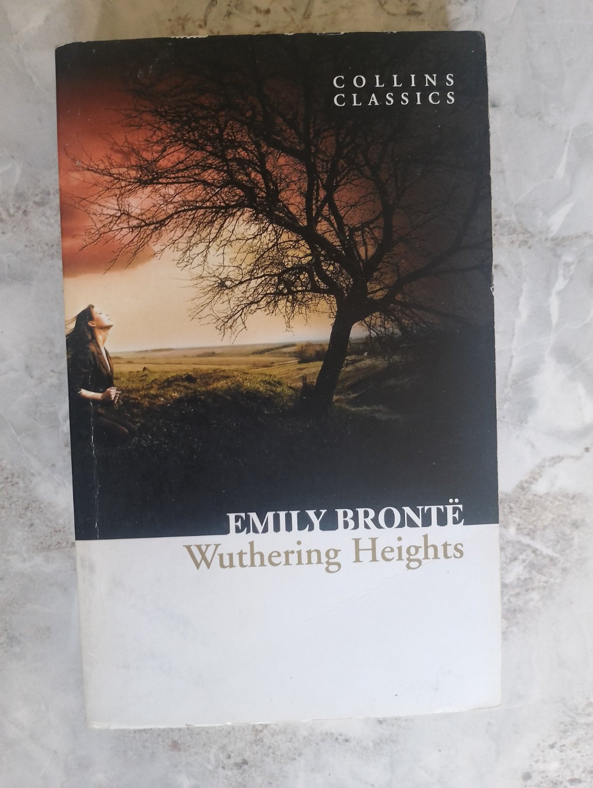 "wuthering hights" book 📖