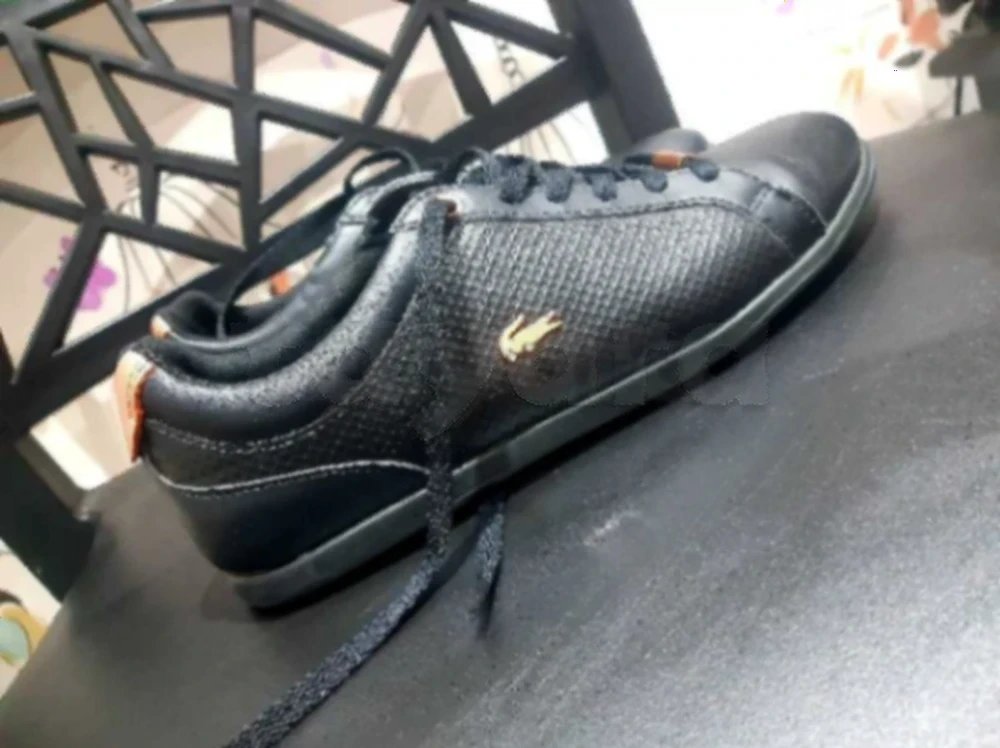 Basket lacoste