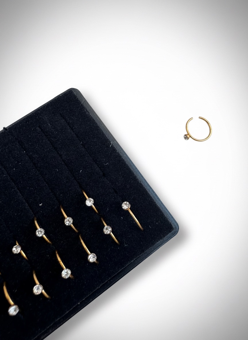 Des faux percing ✨