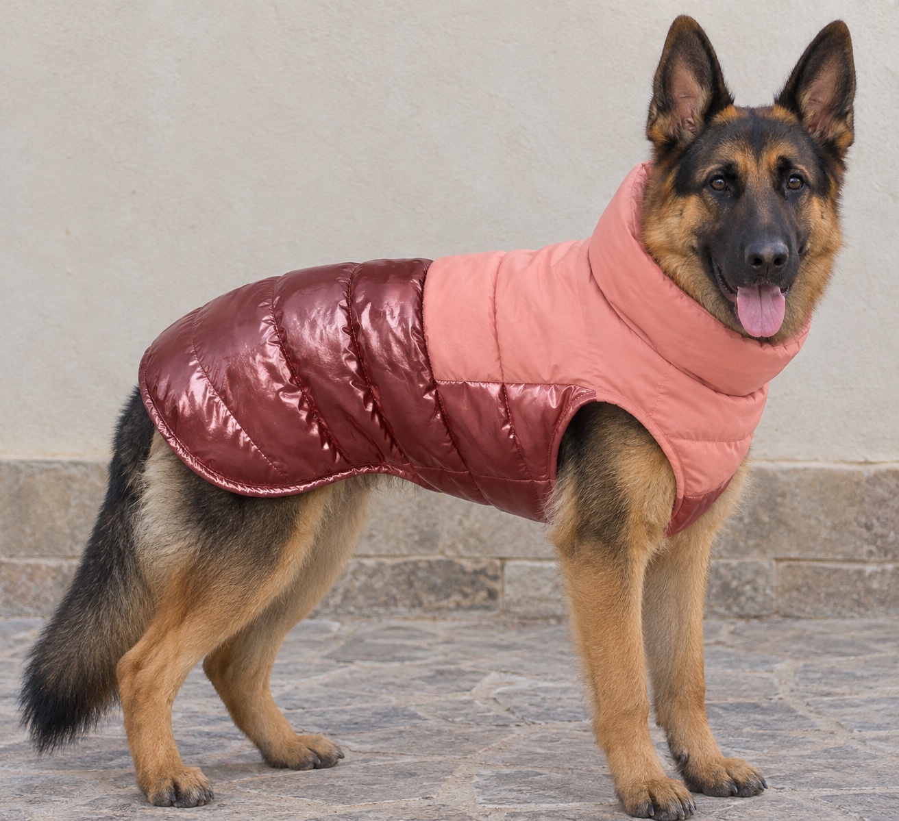 Manteau pour chien Taille l 