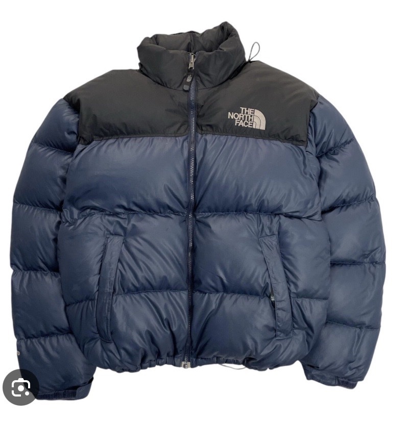 Manteau north face 