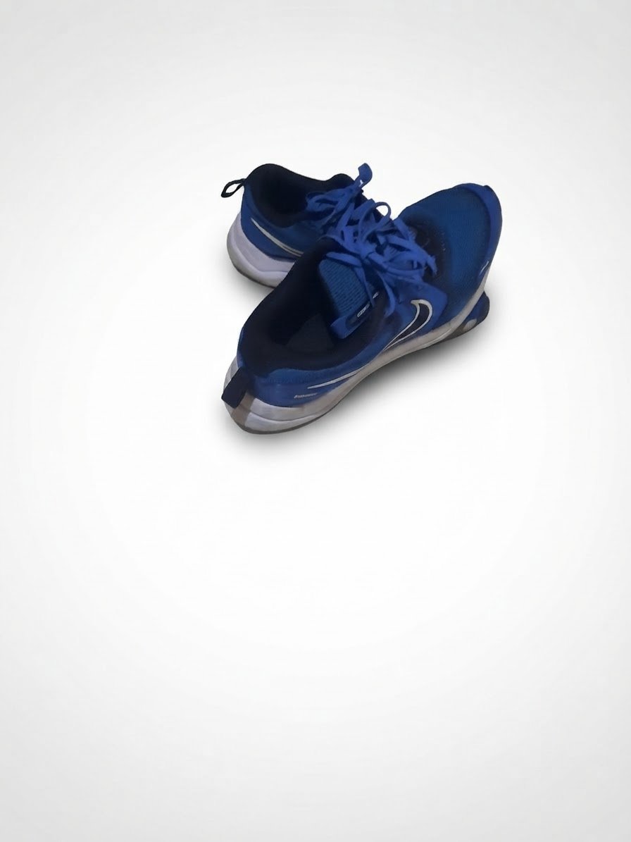 Chaussure nike originalle 