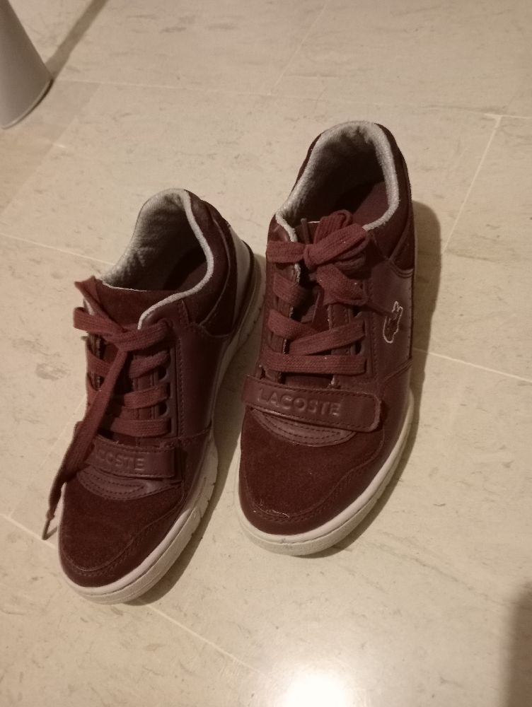 Lacoste original importé 