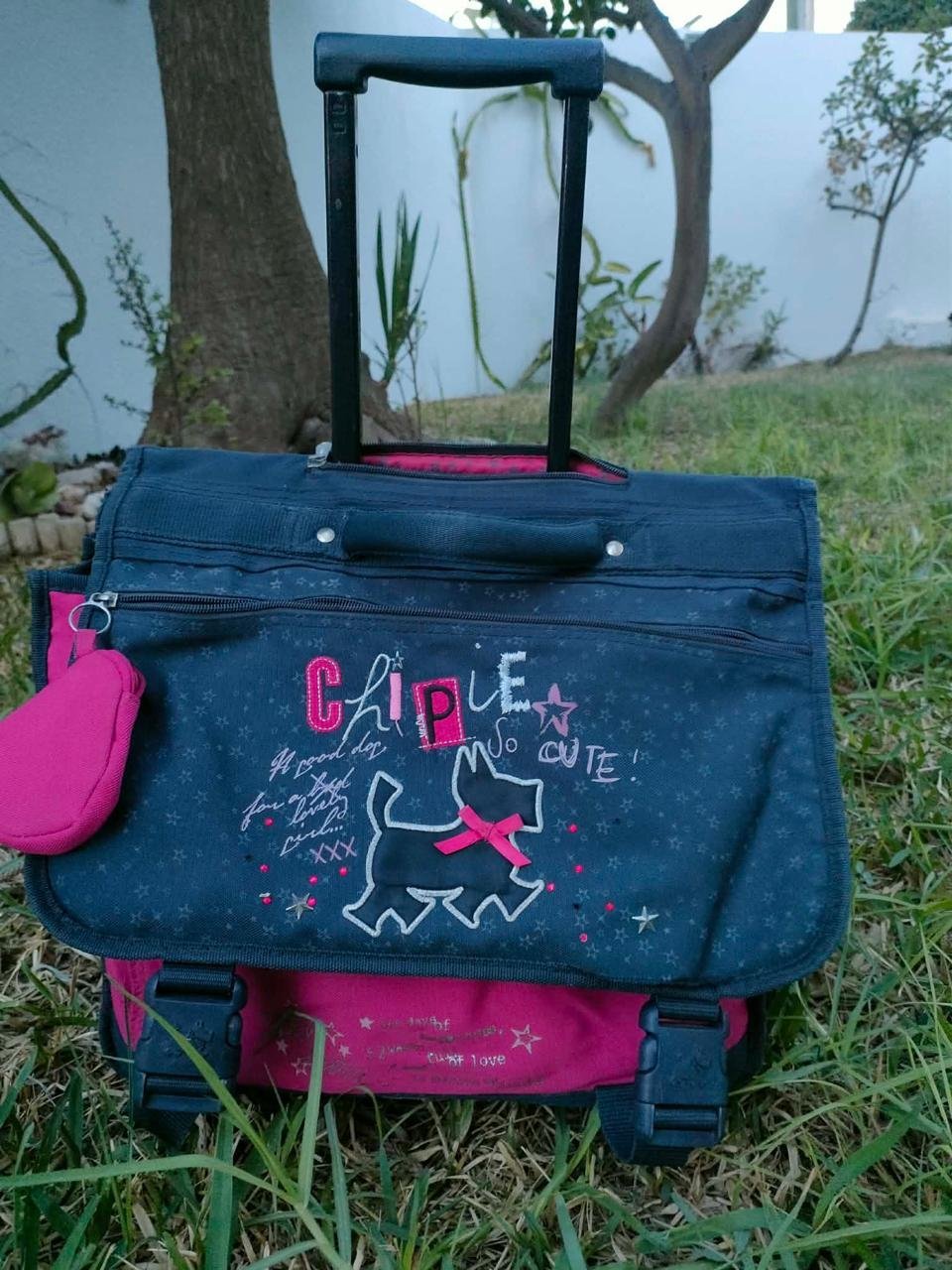 Cartable 