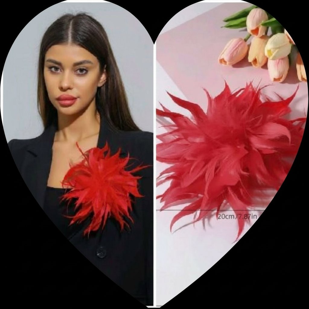 Superbe broche 