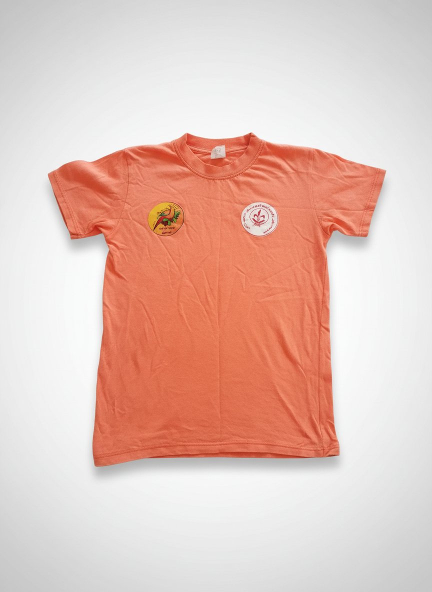 Pull orangé 