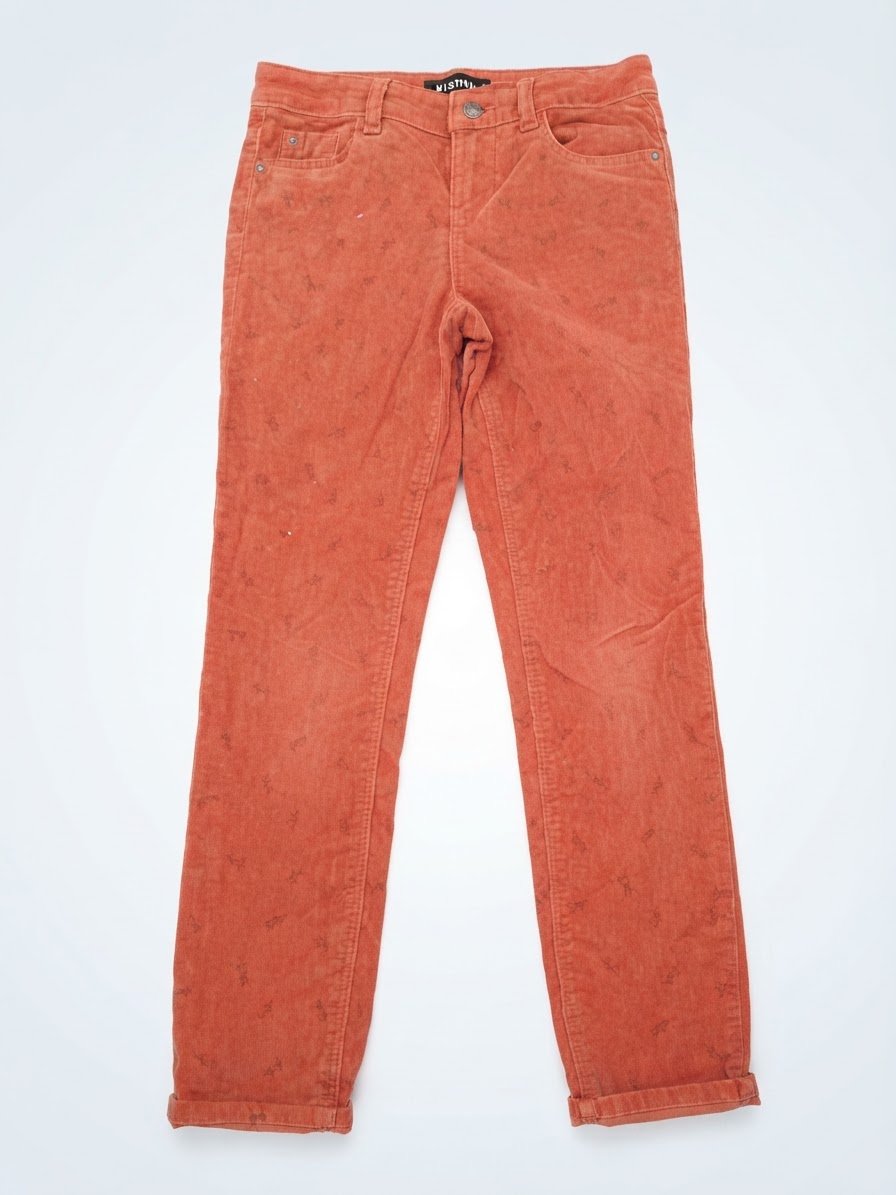 Pantalon en velour
