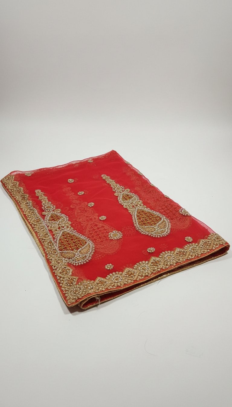 Sari