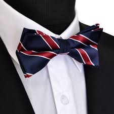 Noeud papillon rayé chic 