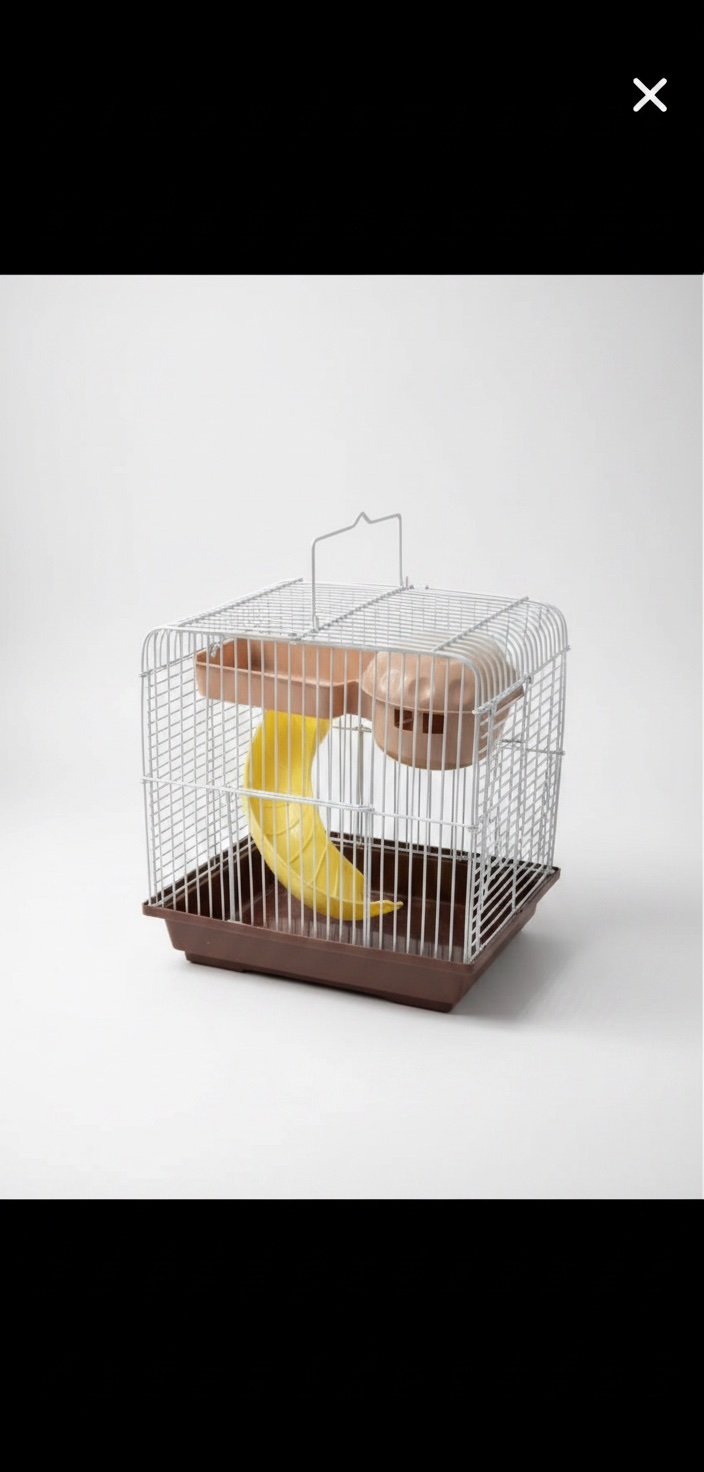 Cage Hamster