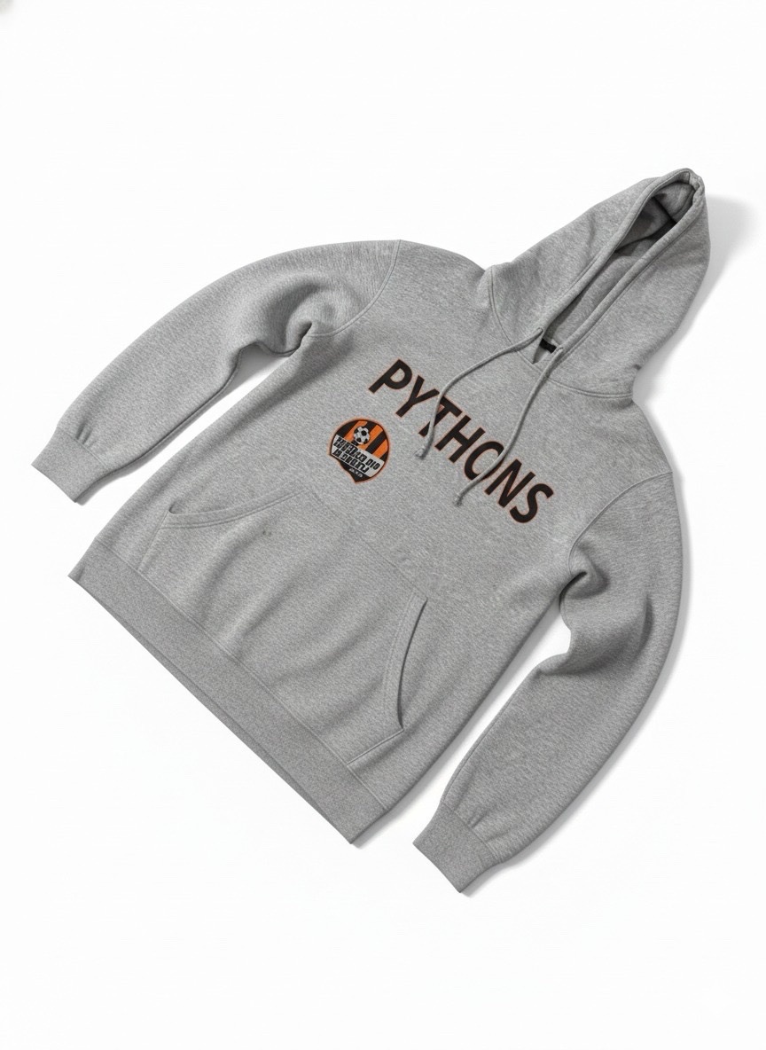 Le Hoodie Michigan