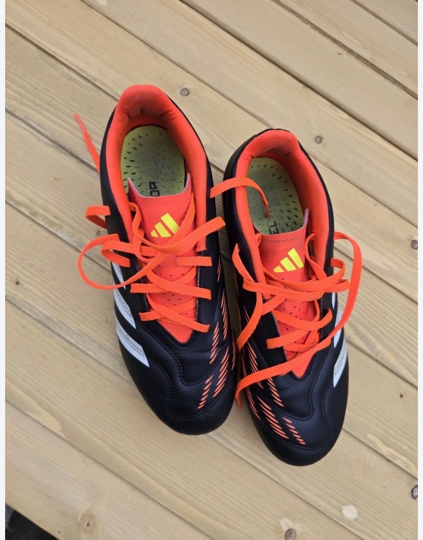 Crampons prédator Adidas