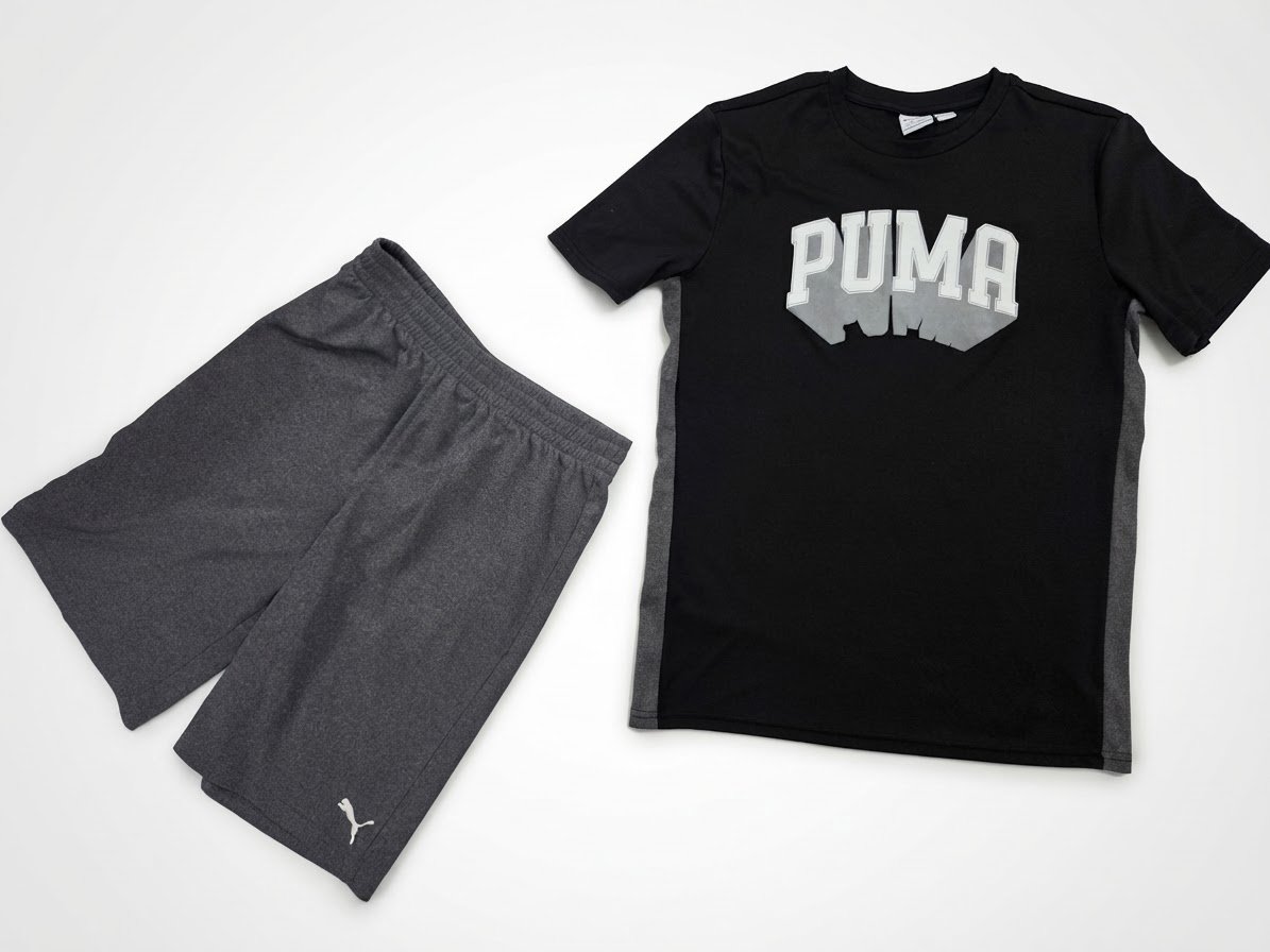 Ensemble Puma