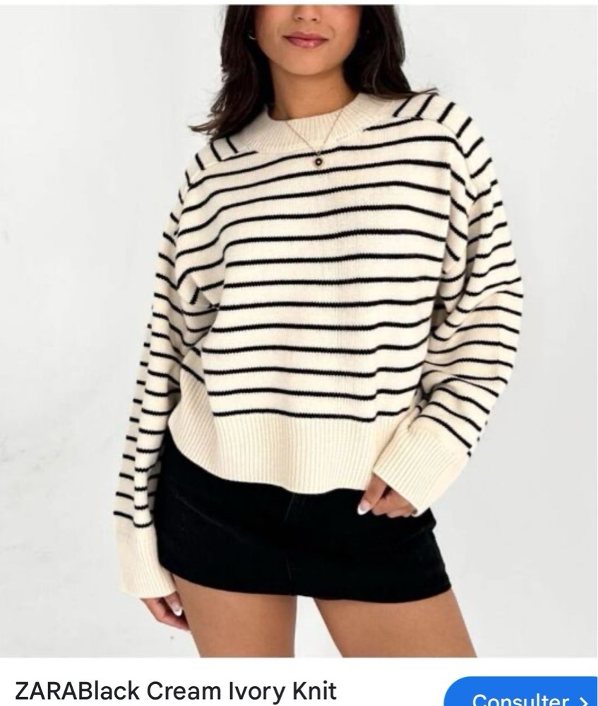 Zara pull rayé neuf