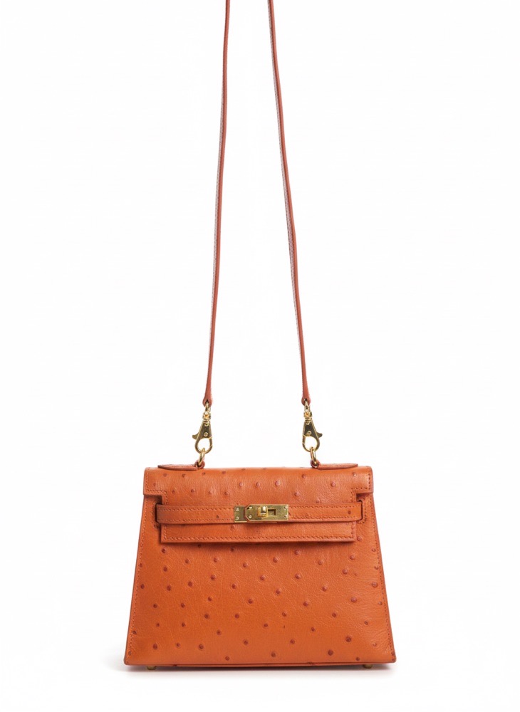 Sac ressemble a mini kelly 