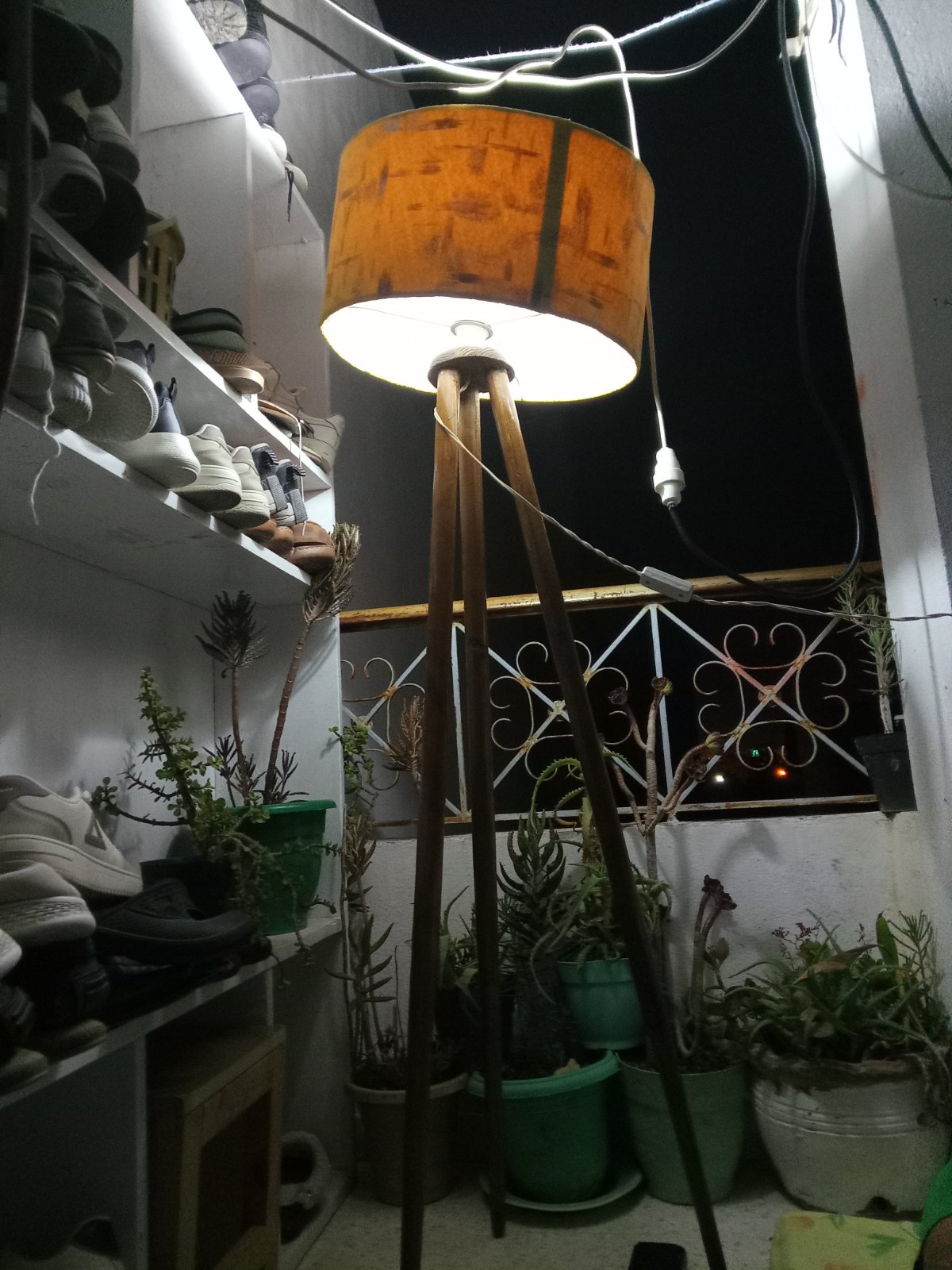 صباح الخير 