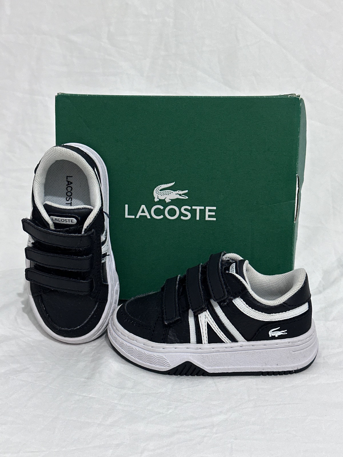 Lacoste pointure 19.5
