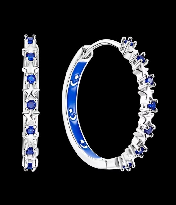BOUCLE D OREILLE EN ARGENT STERLING S925 