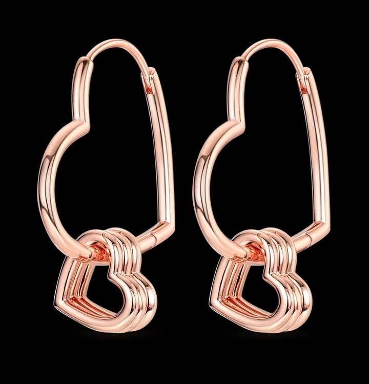 BOUCLE D OREILLE EN ARGENT STERLING S925 