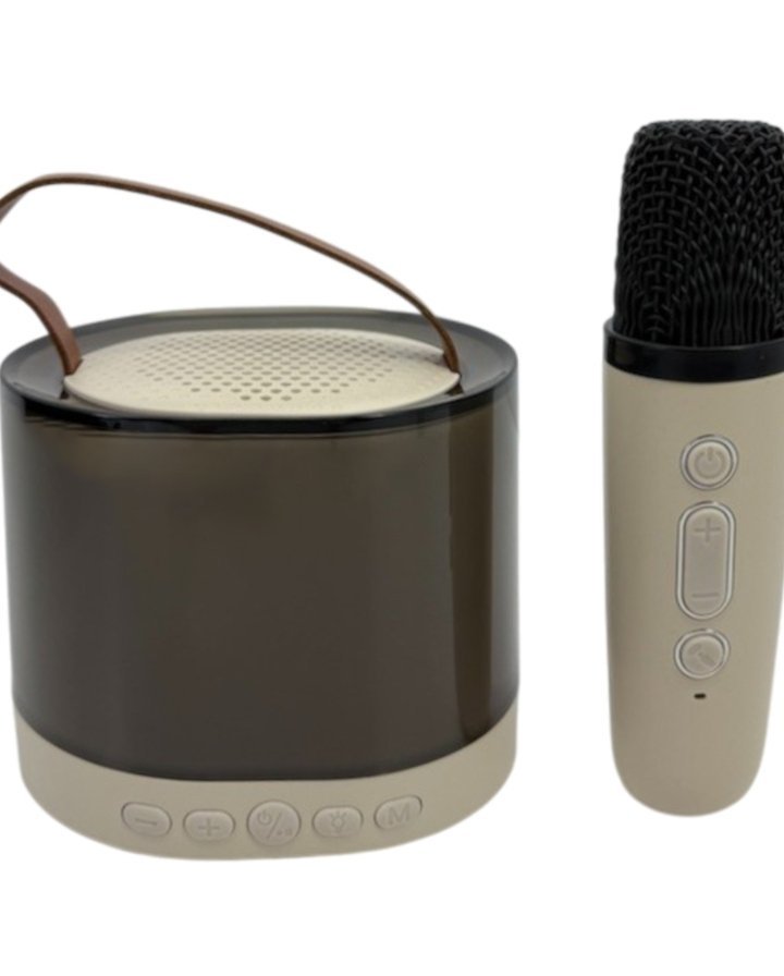 BLUETOOTH SPEAKER 
