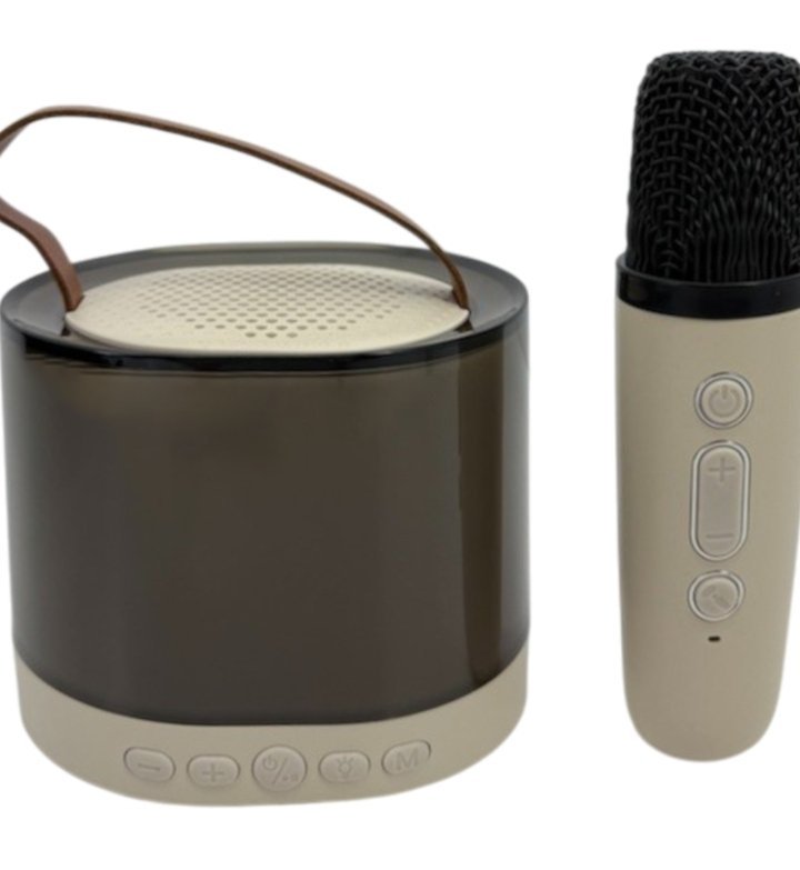 BLUETOOTH SPEAKER PORTABLE 