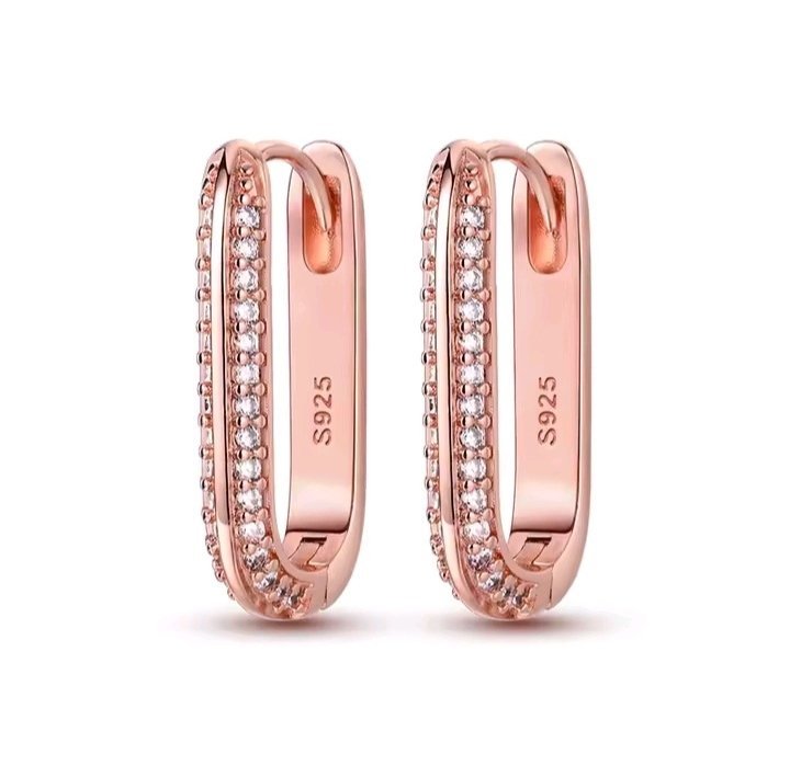 BOUCLE D OREILLE EN ARGENT STERLING S925 DISPONIBLE MAINTENANT 