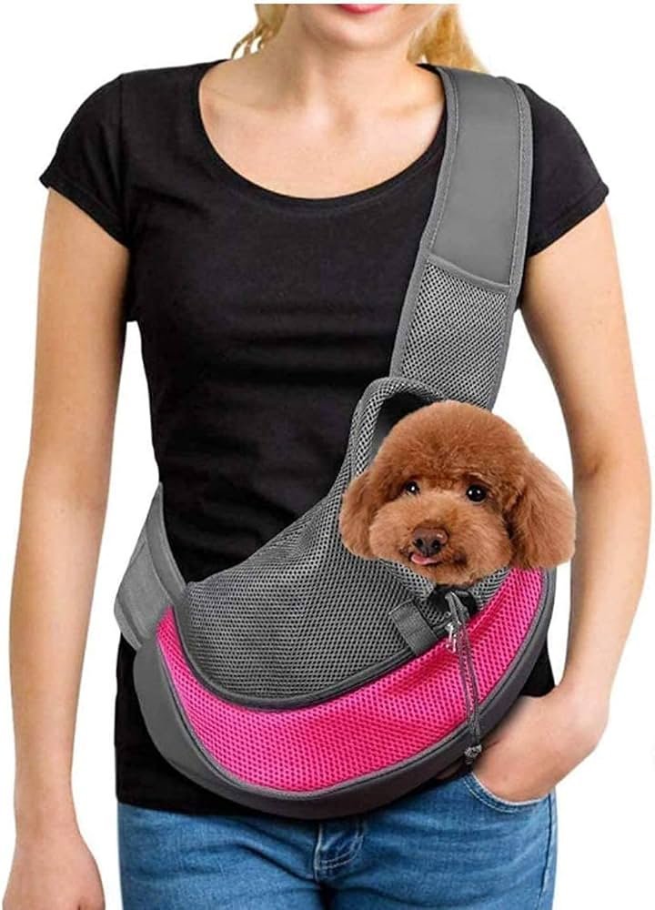 Sac de transport petit chien ou chat