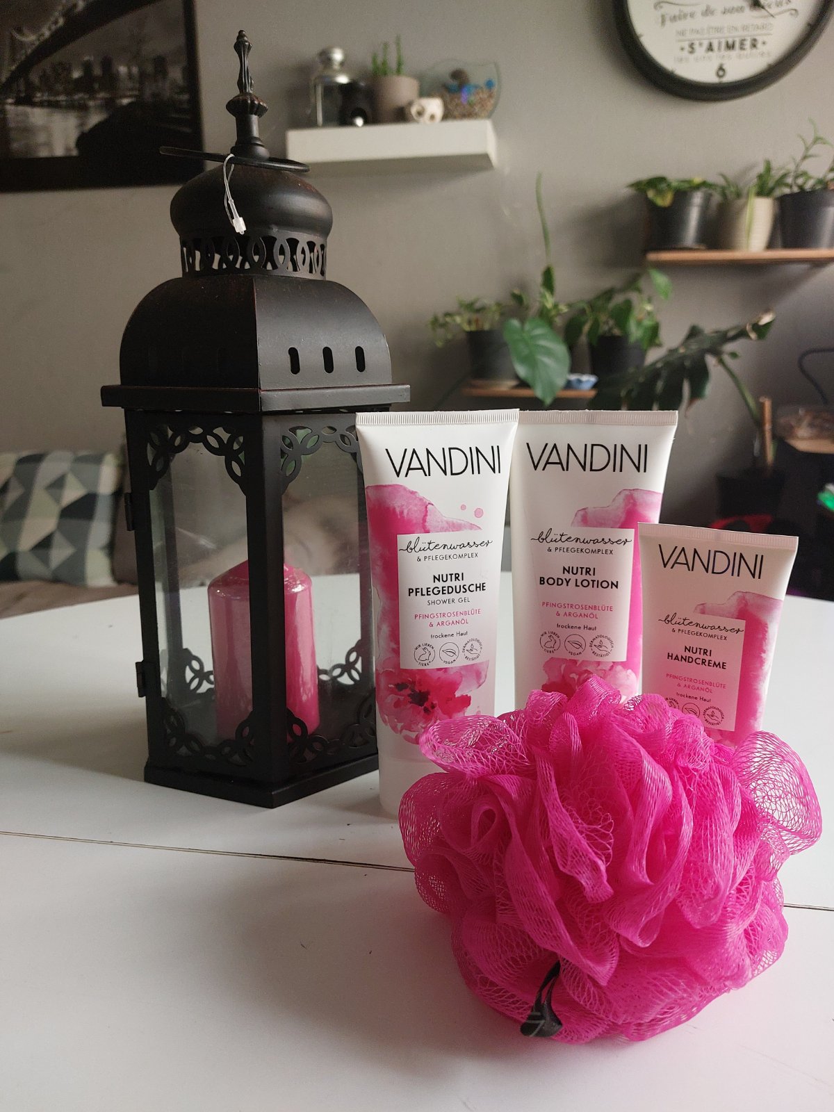 Coffret cadeau Vandini Lanterne Nutri Pivoine et Huile d'Argan 475 ml 🩷✨️  