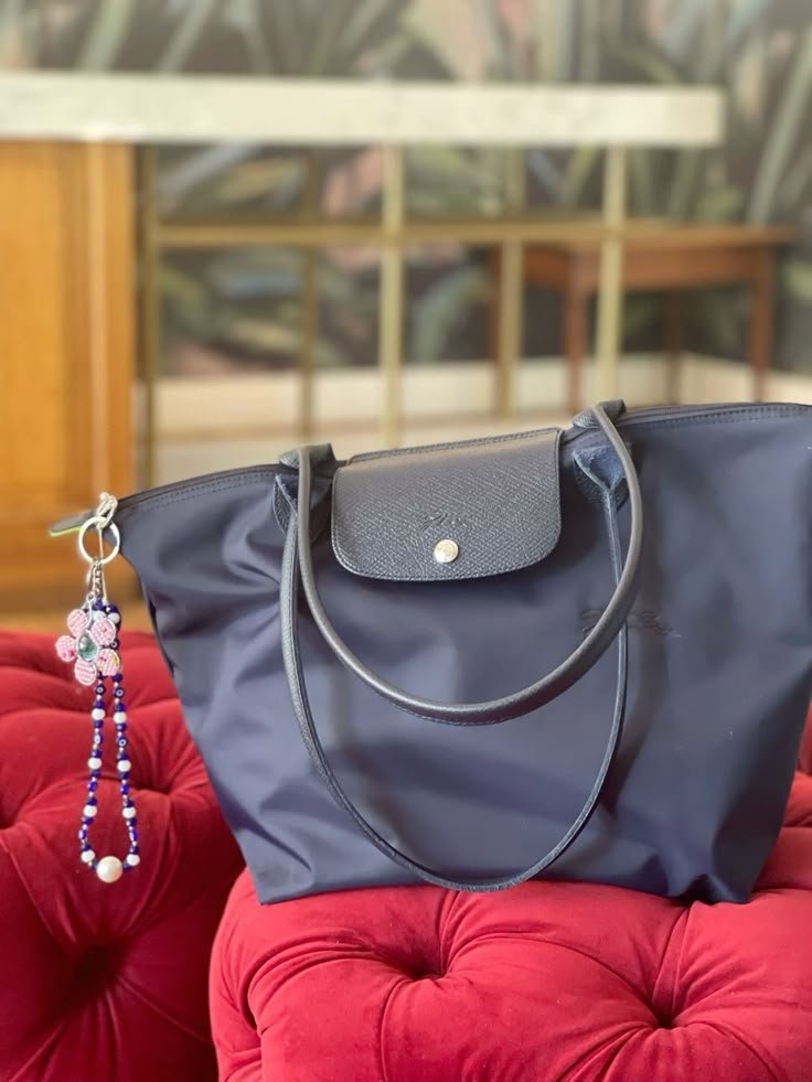 Longchamp bag 