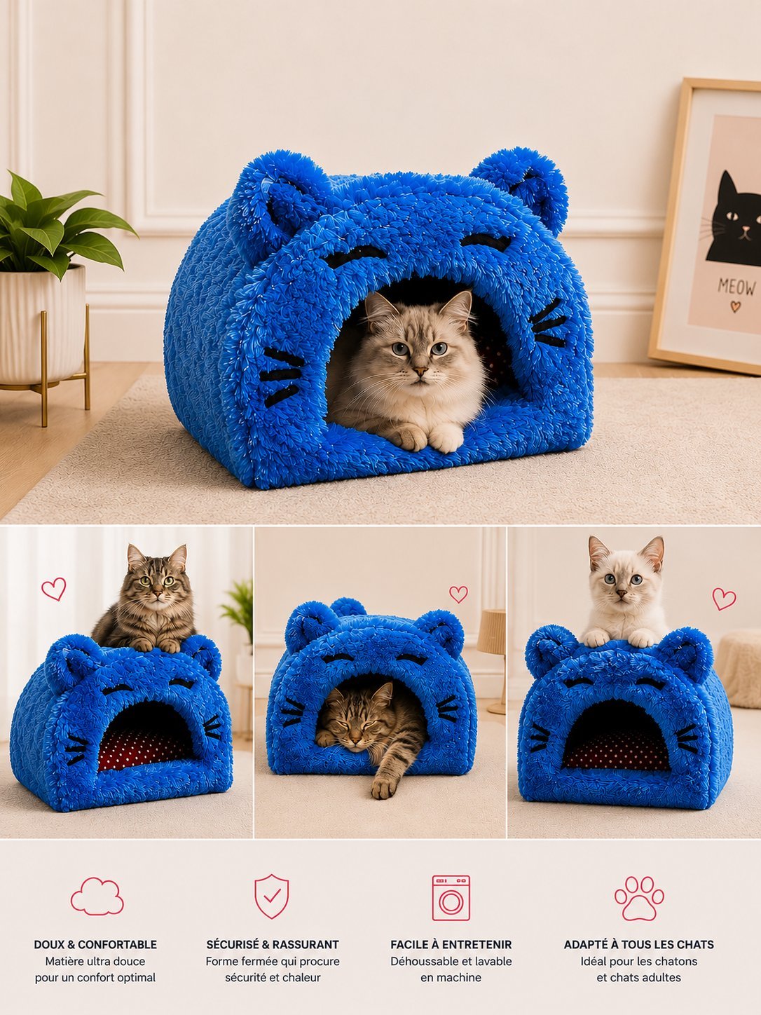 Maison du chat